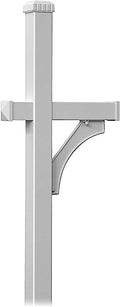 Salsbury Industries 4370SLV Deluxe Post 1 Sided In-Ground Mounted for Roadside Mailbox, Silver