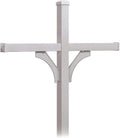 Salsbury Industries 4374SLV Deluxe Post 2 Sided In-Ground Mounted for 4 Roadside Mailbox, Silver