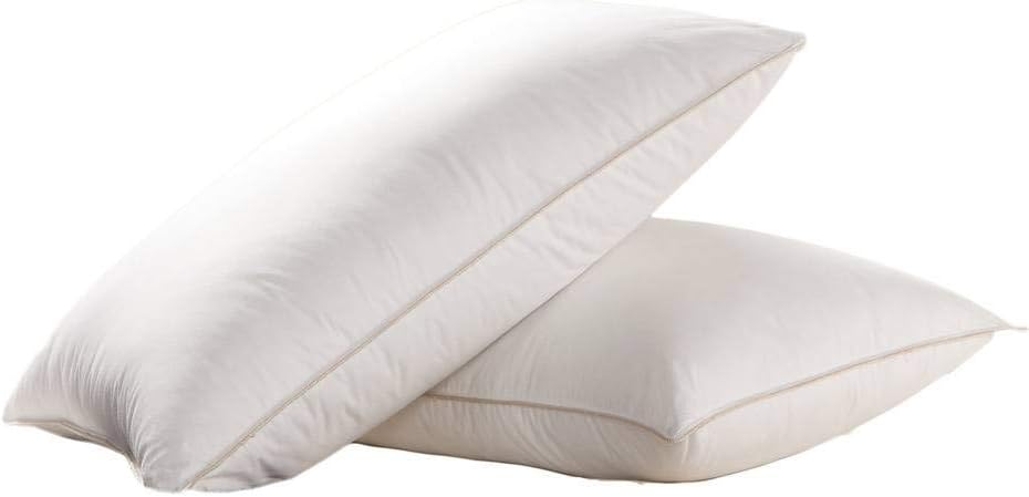 EGYPTIAN BEDDING Goose Down Pillow - 1200 Thread Count Egyptian Cotton, Soft, King Size, Set of 2