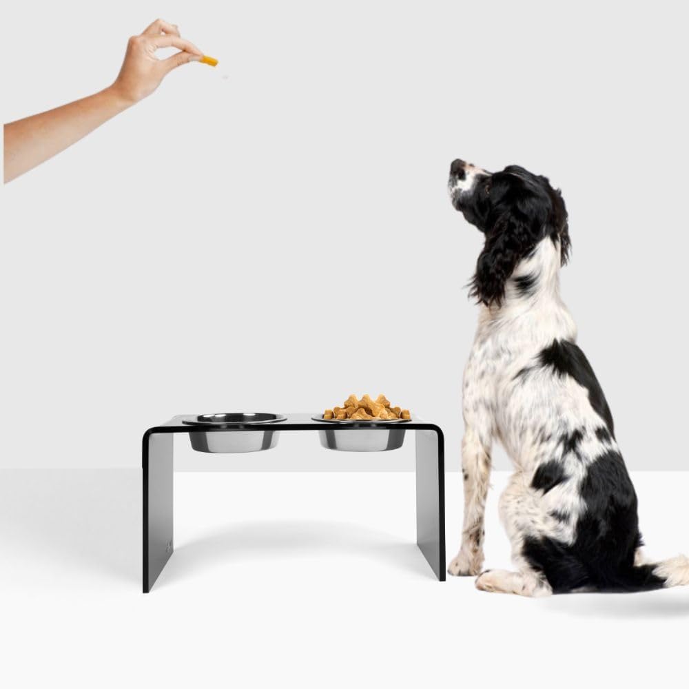 Hiddin Double Elevated Dog Bowl Stand for Medium or Large Dogs, All Breeds, Smoke Grey Acrylic 12 Inch Raised Dog Bowl Stand with Two Stainless Steel Bowls for Food and Water - 6.5 Cups Each Dish