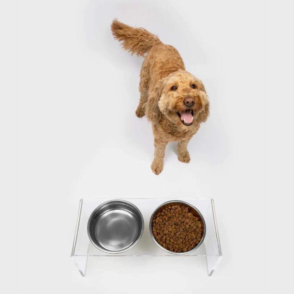 Hiddin Double Elevated Dog Bowl Stand for Medium or Large Dogs, All Breeds, Clear Acrylic 7 Inch Raised Dog Bowl Stand with Two Stainless Steel Bowls for Food and Water - 3.5 Cups Each Dish