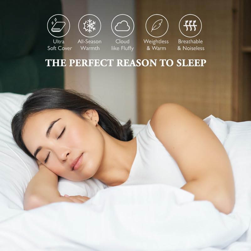 Egyptian Cotton Twin Size Comforter Sets - Taupe Color, Box Stitched Soft Lightweight Bed Set, All Season Gray Bedding Sets - 1 Comforter and 2 Pillow case
