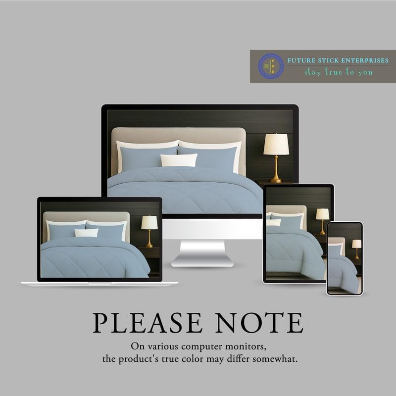 Egyptian Cotton Oversized Queen Size Comforter Sets - Light Blue Color, Soft Lightweight Bed Set, All Season Gray Bedding Sets - 1 Comforter & 2 Pillow case