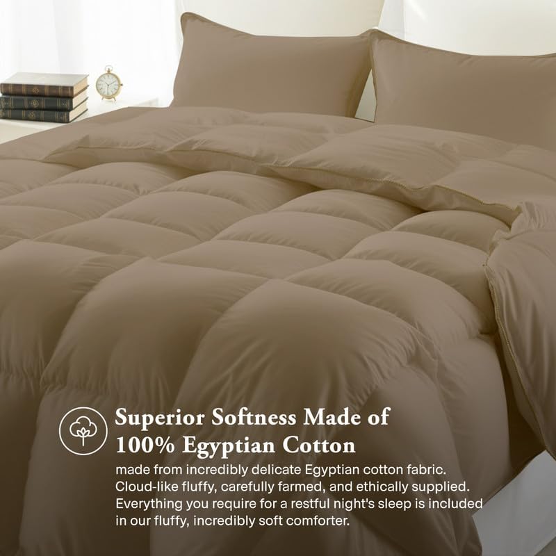 Egyptian Cotton Twin XL Size Comforter Sets - Taupe Color, Box Stitched Soft Lightweight Bed Set, All Season Gray Bedding Sets - 1 Comforter & 2 Pillow case