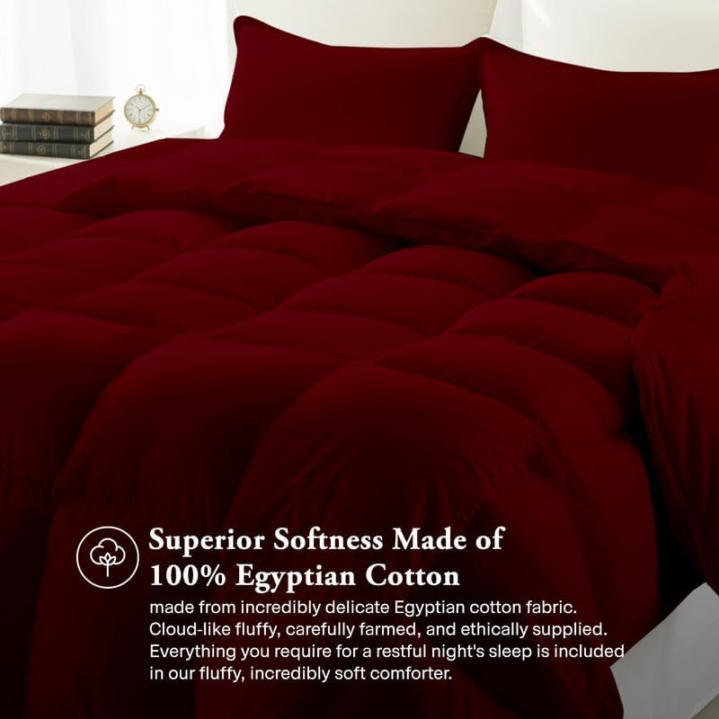 Egyptian Cotton Oversized Queen Size Comforter Sets - Burgundy Color, Soft Lightweight Bed Set, All Season Gray Bedding Sets - 1 Comforter & 2 Pillow case