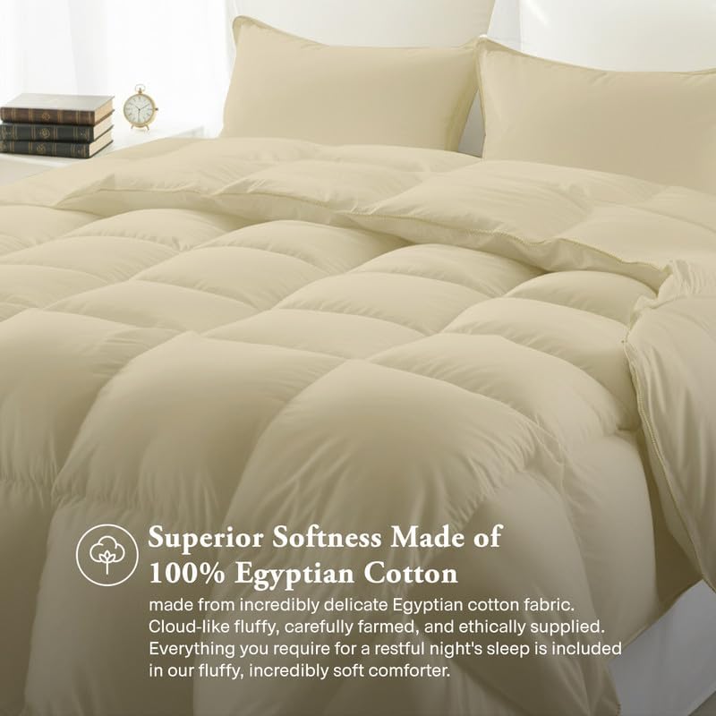 Egyptian Cotton Oversized Queen Size Comforter Sets - Ivory Color, Soft Lightweight Bed Set, All Season Gray Bedding Sets - 1 Comforter & 2 Pillow case