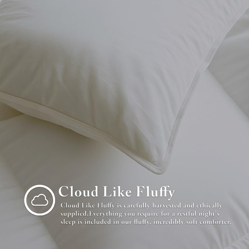 Egyptian Cotton Oversized Queen Size Comforter Sets - Dark Grey Color, Soft Lightweight Bed Set, All Season Gray Bedding Sets - 1 Comforter & 2 Pillow case