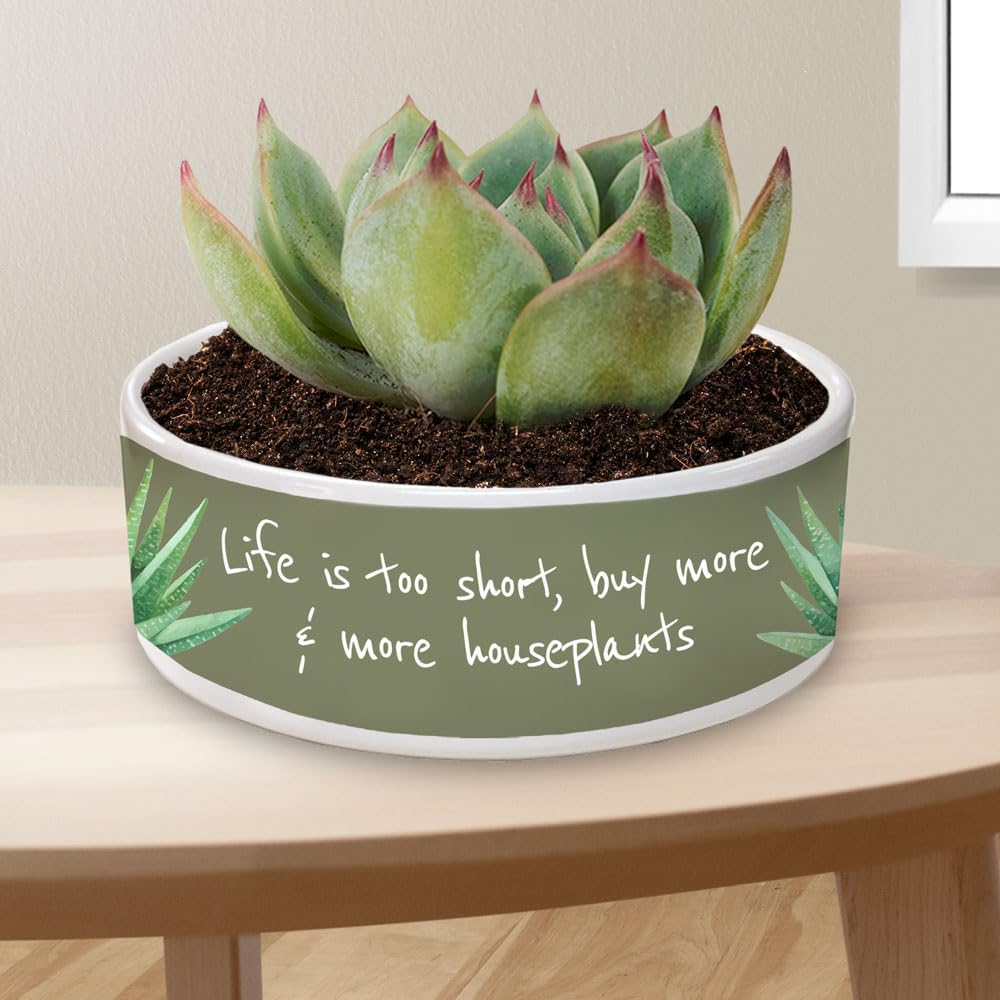 JPPlus White Ceramic Sublimation Pet Bowls for Dye Sublimation Heat Transfer (6 Inch (Case of 24))