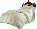 Queen Comforter Set Egyptian Cotton 1000 Series Ivory 400 GSM Queen Size Comforter Set (Comforter + 2 Pillowcases) Comforter for Queen Size Bed