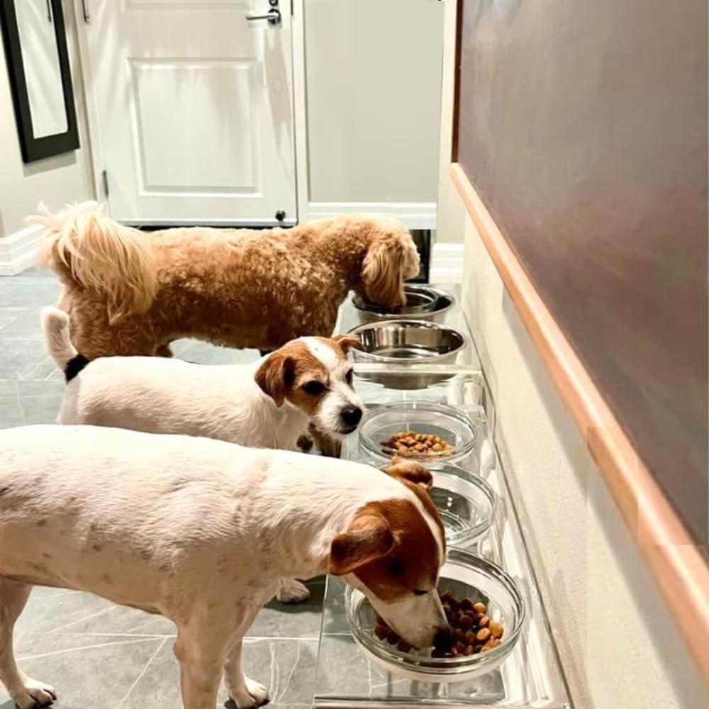Hiddin Double Elevated Dog Bowl Stand for Medium or Large Dogs, All Breeds, Clear Acrylic 7 Inch Raised Dog Bowl Stand with Two Stainless Steel Bowls for Food and Water - 6.5 Cups Each Dish