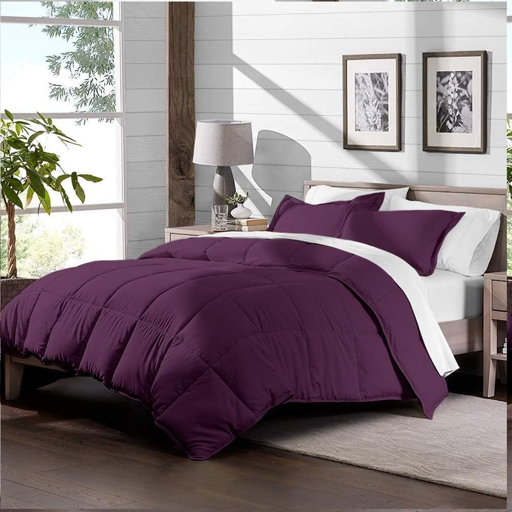 Soft 1000 TC Goose Down Alternative Egyptian Cotton Comforter Set (Comforter + 2 Pillow Cases) 400 GSM Over-Size Queen Egg Plant 98'' x 98''