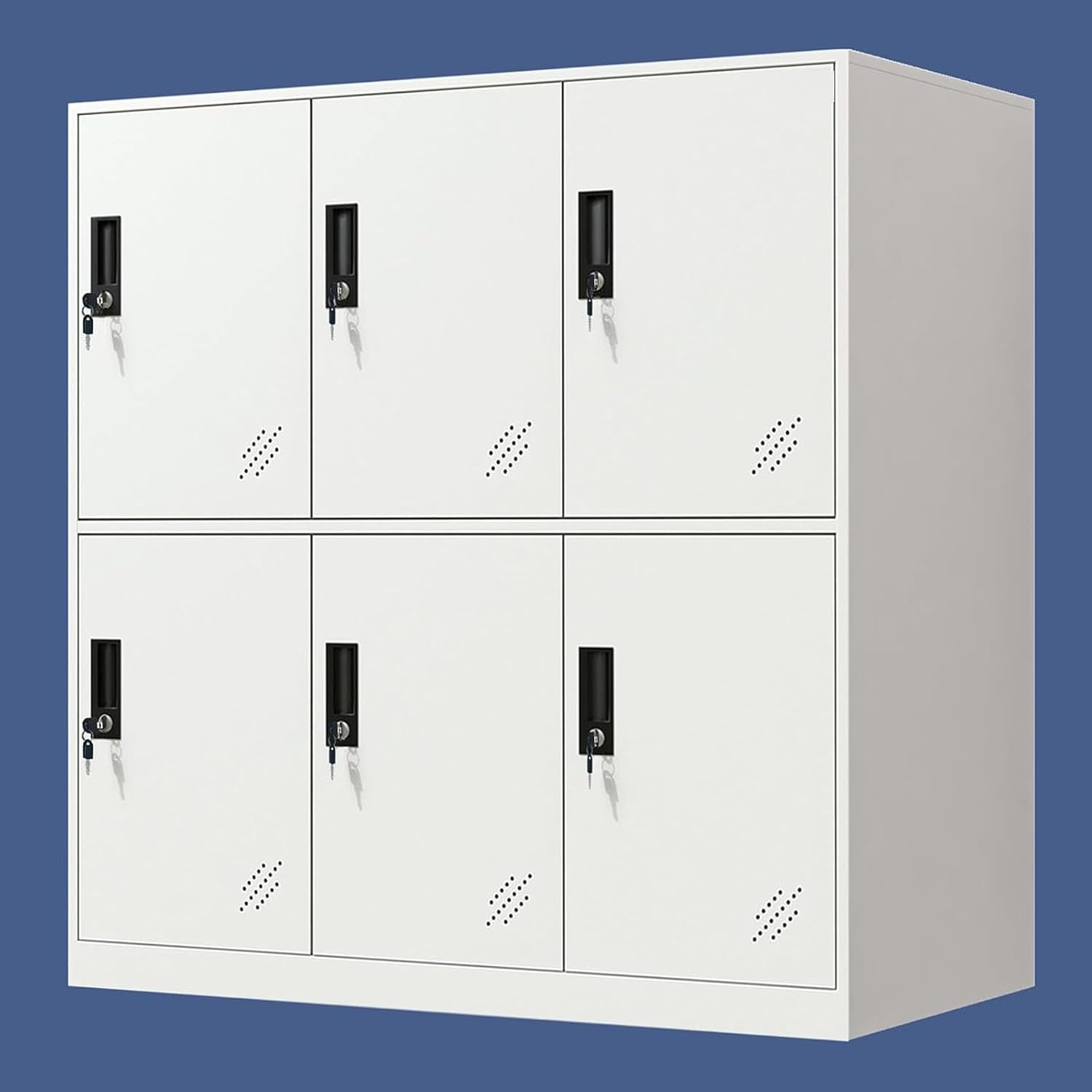 MECOLOR-Steel Office Locker Cabinet with Keys, School and Home Storage Locker Organizer，Locker for Cloth and Toy Organizer,Living Room Boy and Girl Metal Storage Locker Cabinet (6D)