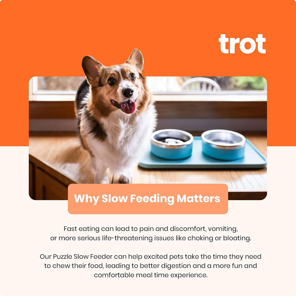 Trot Pets Premium Dog Bowls | Stainless Steel Bowl Set for Small, Medium, or Large Dogs | Non-Slip Food and & Water Slow Feeder | Durable, BPA-Free, Anti-Skid, Dishwasher Safe (Sky, Small)