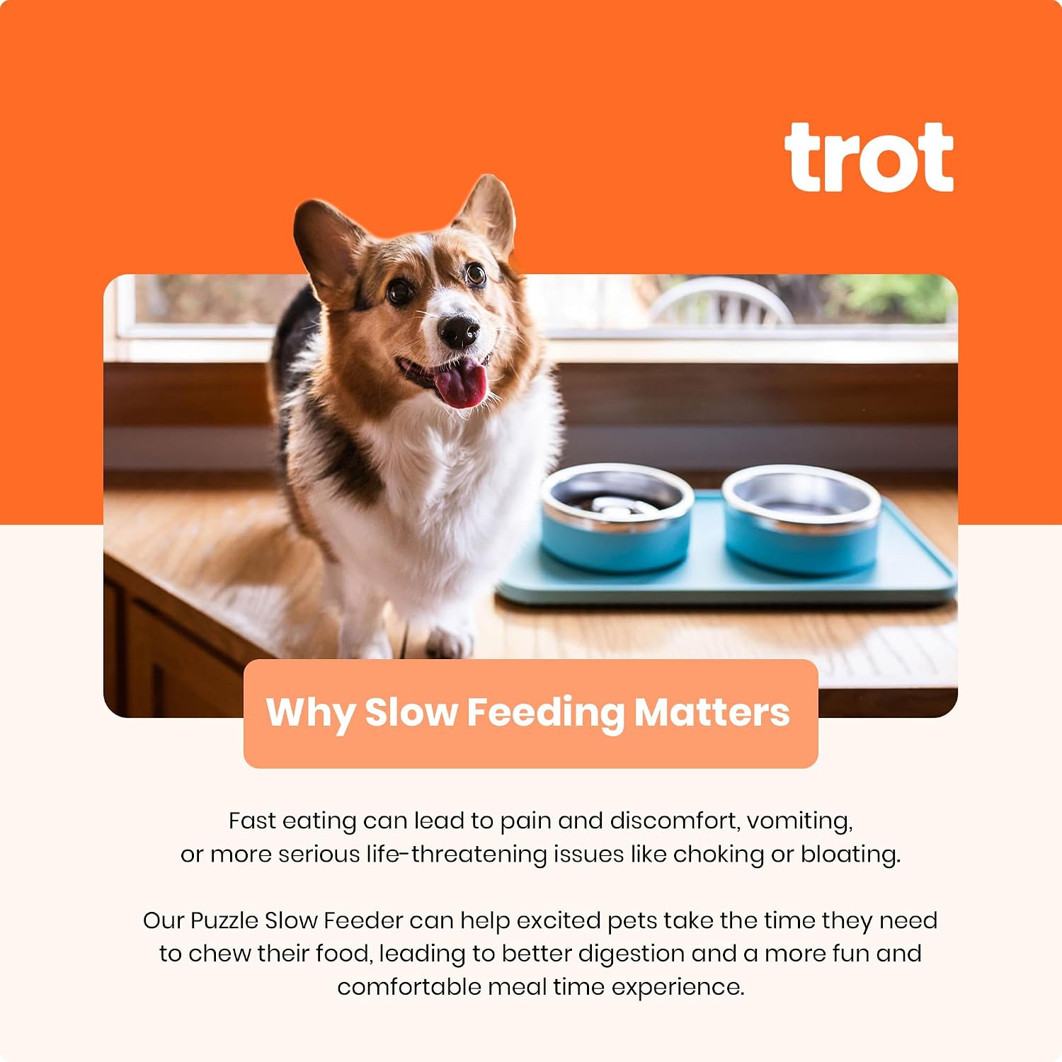 Trot Pets Premium Dog Bowls | Stainless Steel Bowl Set for Small, Medium, or Large Dogs | Non-Slip Food and & Water Slow Feeder | Durable, BPA-Free, Anti-Skid, Dishwasher Safe (Sky, Small)