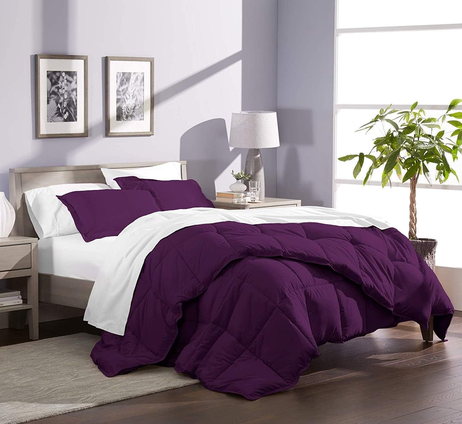 Queen Comforter Set Egyptian Cotton 1000 Series Egg Plant 400 GSM Queen Size Comforter Set (Comforter + 2 Pillowcases) Comforter for Queen Size Bed