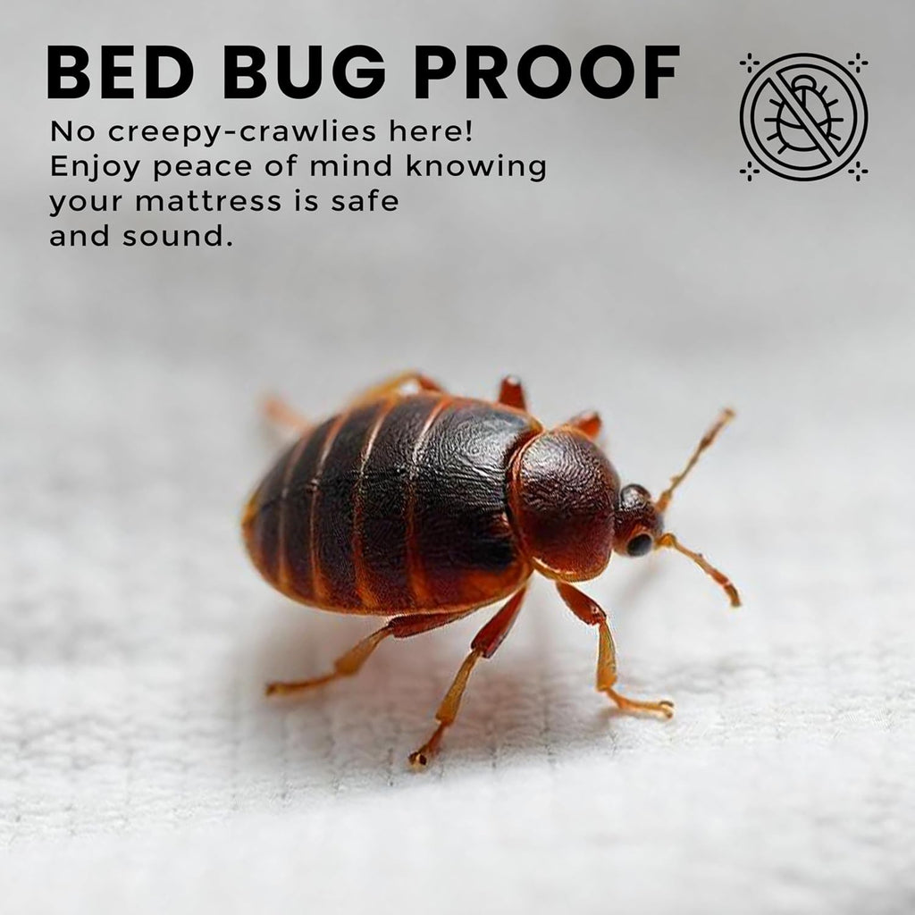 Utopia Bedding Premium Waterproof Bed Bug Mattress Cover, Twin Zippered Mattress Protector, 10 Inches Deep, Dust Mite Proof 6-Sided Mattress Encasement for Bed (Pack of 10)