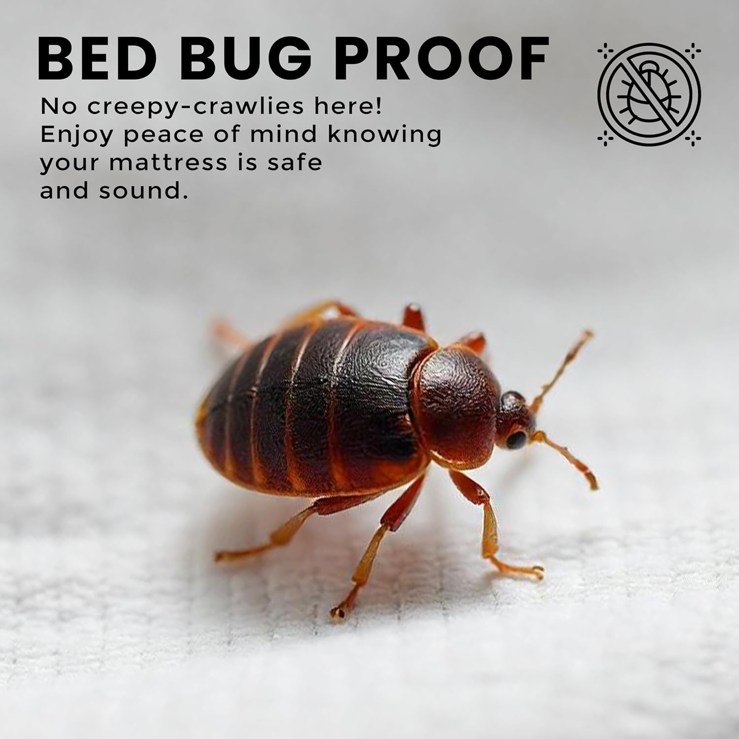 Utopia Bedding Premium Waterproof Bed Bug Mattress Cover, Twin Zippered Mattress Protector, 10 Inches Deep, Dust Mite Proof 6-Sided Mattress Encasement for Bed (Pack of 10)