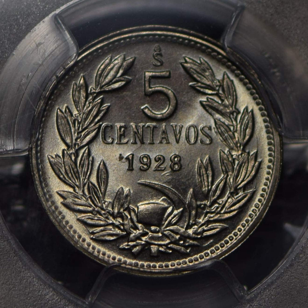 Collectible Coin Chile 1928 5 Centavos Andean Condor animal PCGS MS66 rare this grade PC0740