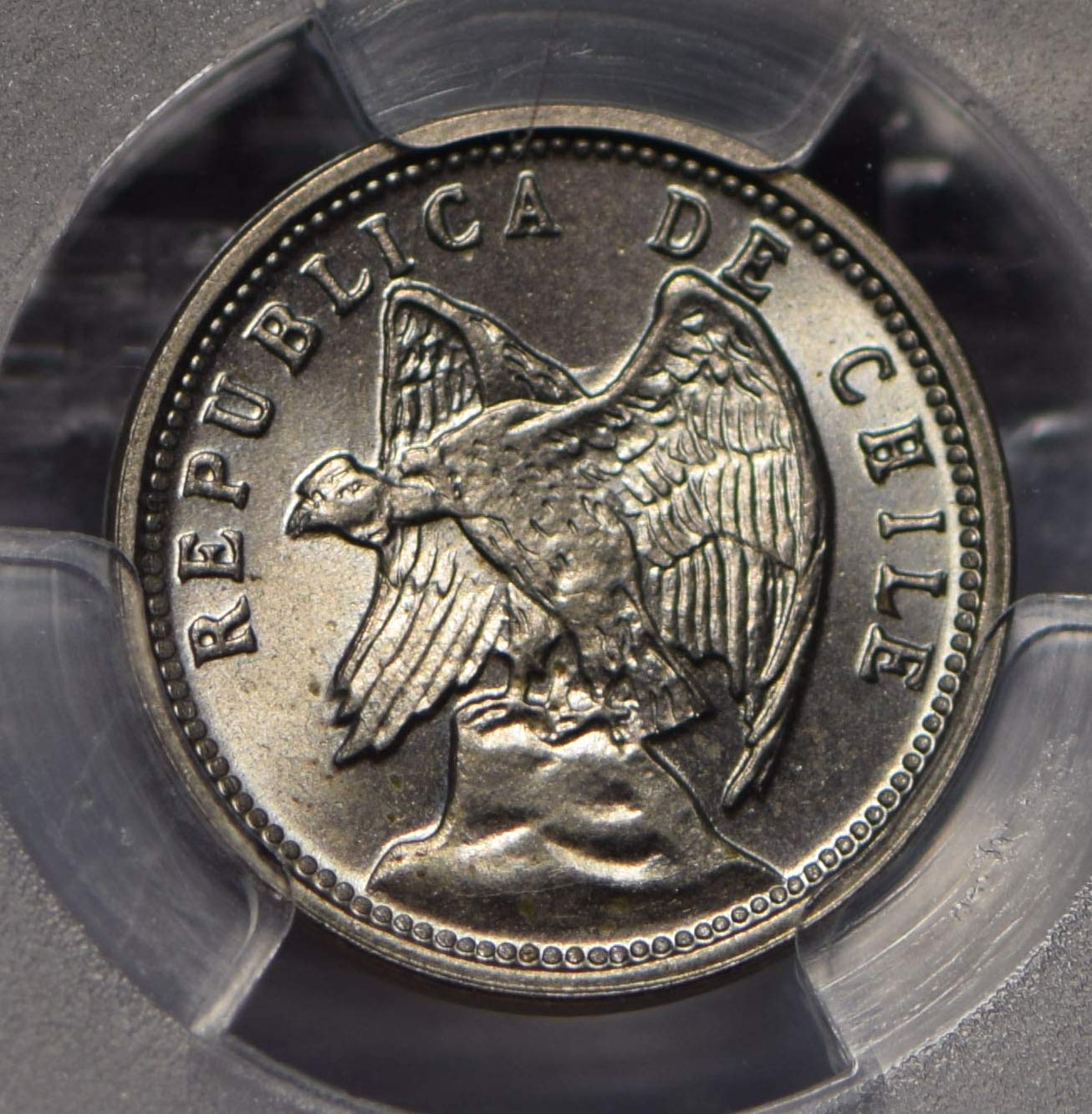 Collectible Coin Chile 1928 5 Centavos Andean Condor animal PCGS MS66 rare this grade PC0740
