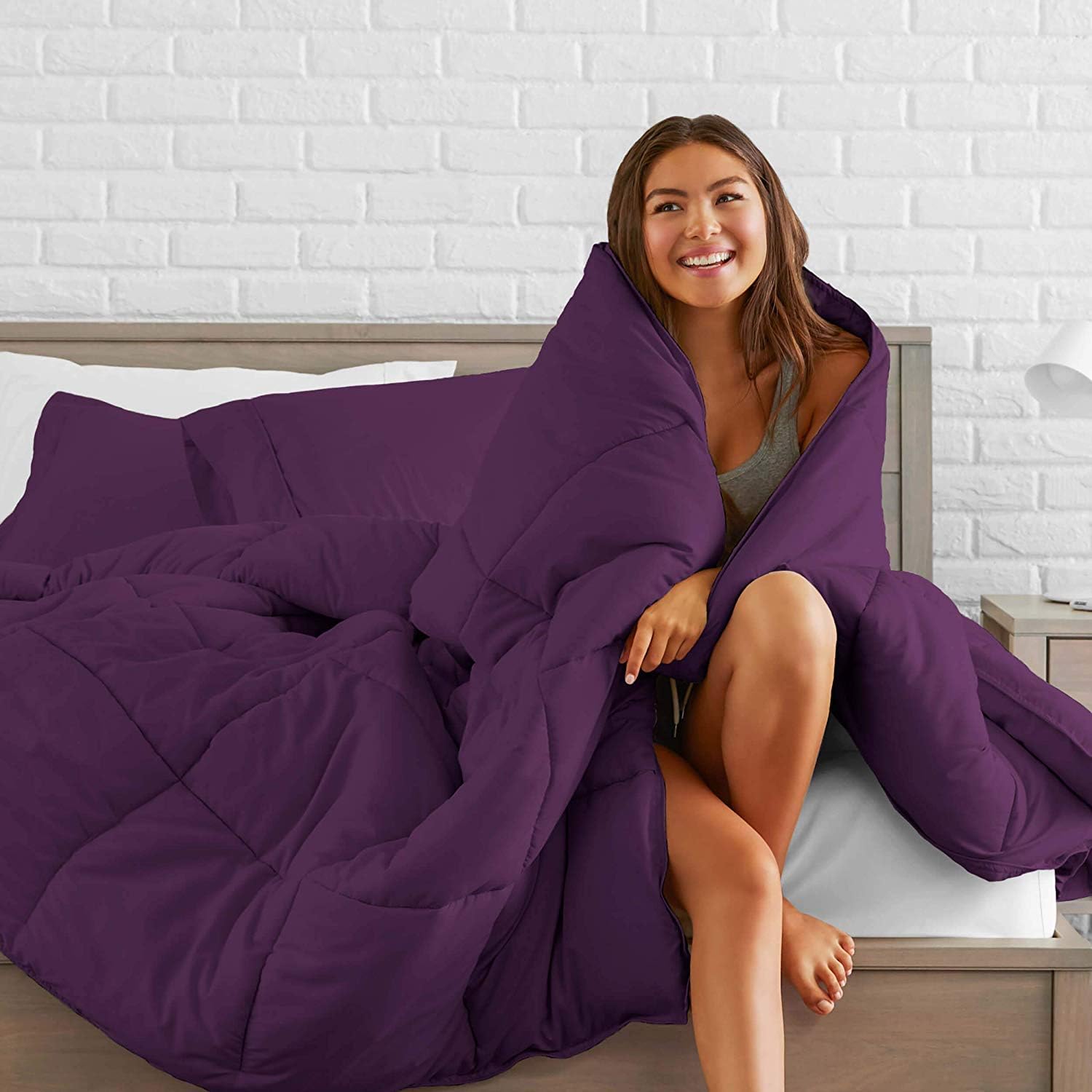 Soft 1000 TC Goose Down Alternative Egyptian Cotton Comforter Set (Comforter + 2 Pillow Cases) 400 GSM Over-Size Queen Egg Plant 98'' x 98''