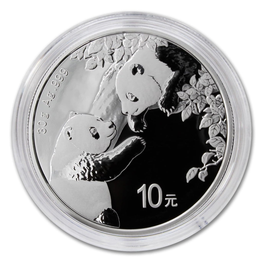 2016 - Present (Random Year) 30 g Gram Chinese Silver Panda Coin Brilliant Uncirculated (in Capsule) with Certificate of Authenticity ¥10 Yuan Seller BU