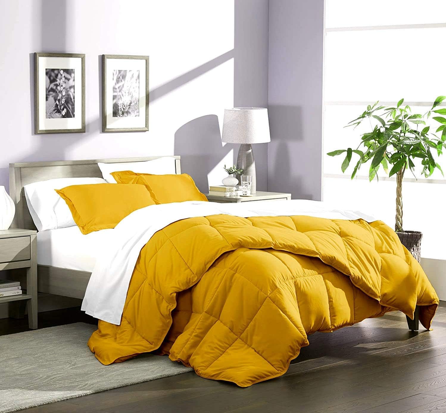 Oversized Queen All-Season Cooling Warmth Comforter Set – 3 Piece Bedding – 100% Egyptian Cotton, Long-Staple & Silky Soft – Luxury Hotel-Quality Duvet Insert – Machine Washable - Gold