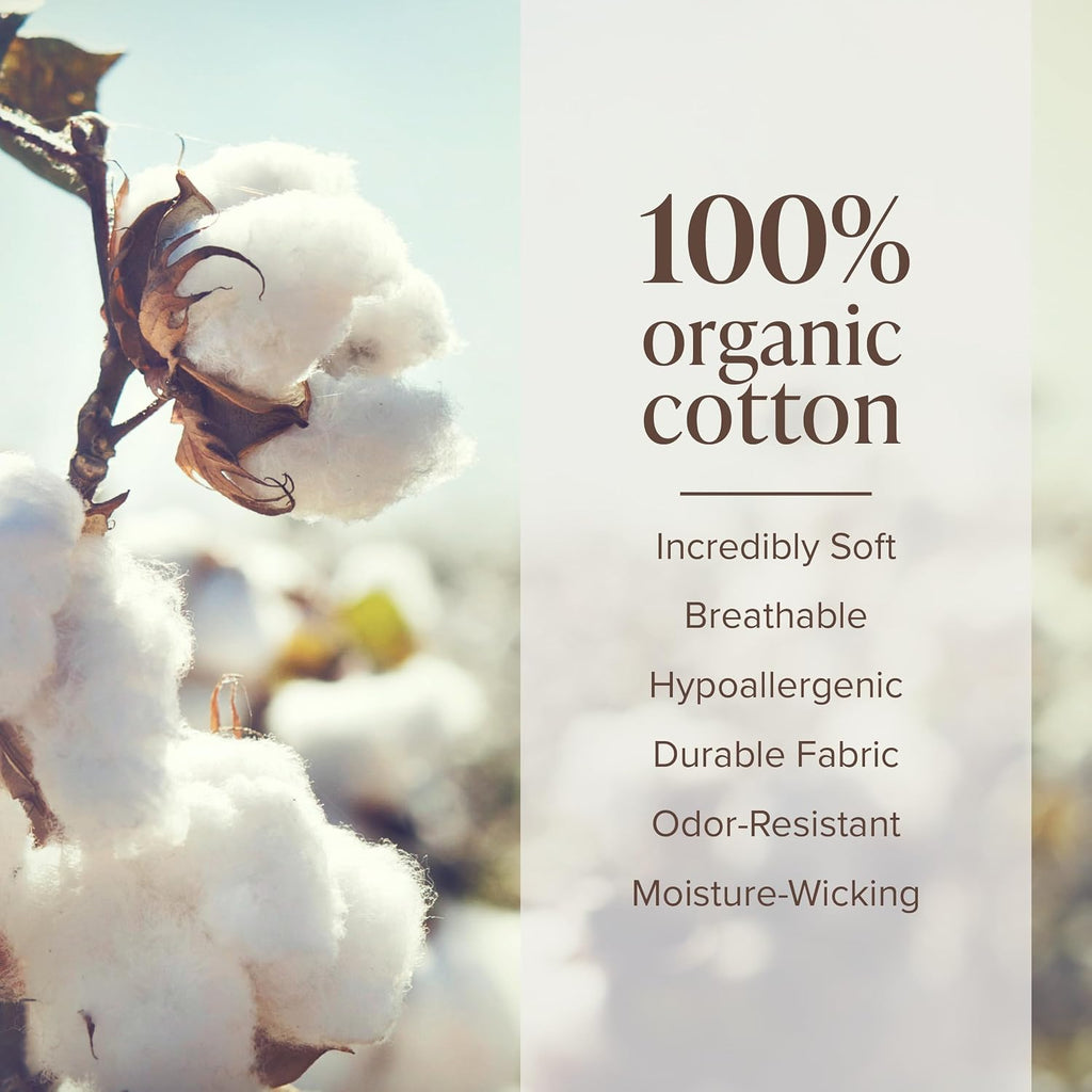 Bare Home Organic Cotton Flannel Sheet Set - Split King Size - 100% Cotton - Double Brushed for Extra Softness & Comfort - Warm, Cozy, and Durable - Breathable - Bed Sheets (Split King, Sand)