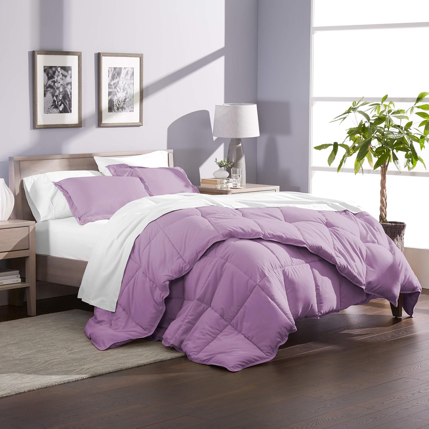 Oversized Queen All-Season Cooling Warmth Comforter Set – 3 Piece Bedding – 100% Egyptian Cotton, Long-Staple & Silky Soft – Luxury Hotel-Quality Duvet Insert – Machine Washable - Lilac