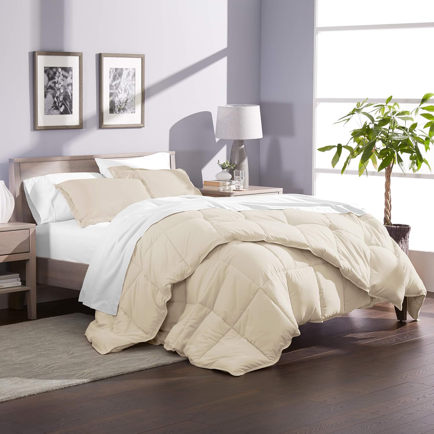 Oversized Queen All-Season Cooling Warmth Comforter Set – 3 Piece Bedding – 100% Egyptian Cotton, Long-Staple & Silky Soft – Luxury Hotel-Quality Duvet Insert – Machine Washable - Ivory