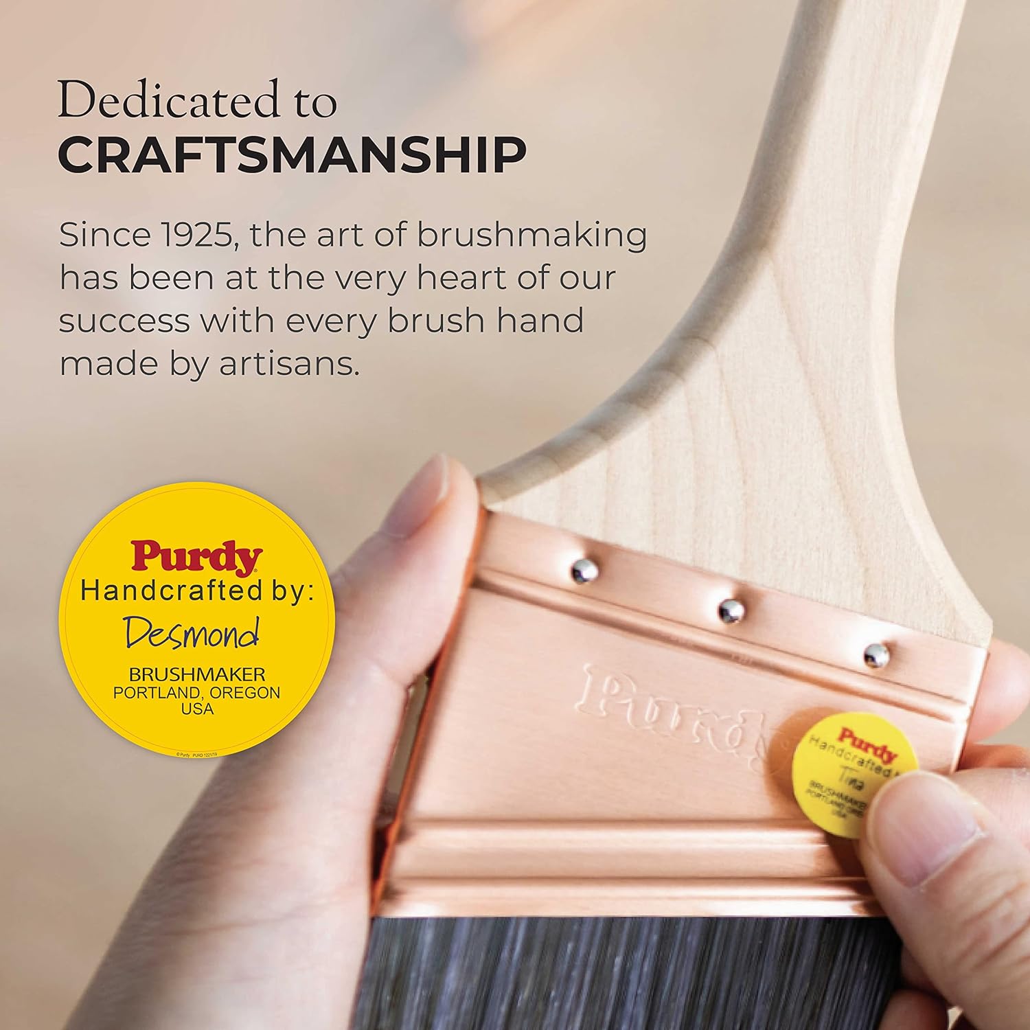 Purdy 144080225 Nylox Angular Trim Dale Brush, 2-1/2-Inch, 6-Pack