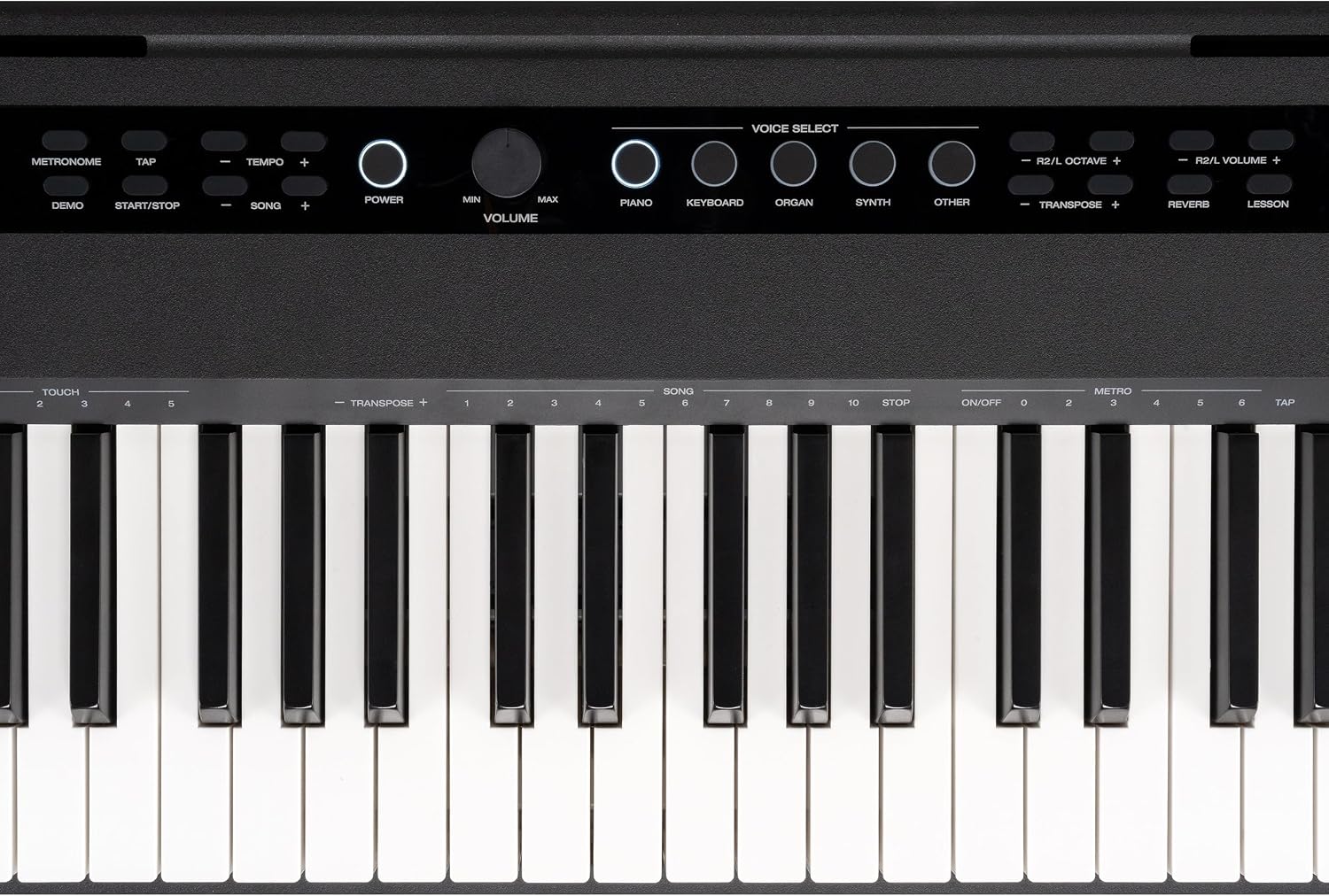 Alesis Recital Pro MKII 88-Key Digital Piano with Weighted Hammer-Action Keys, Speakers, 25 Sounds, USB MIDI and Audio, Sustain Pedal, Skoove and Melodics Piano Lessons