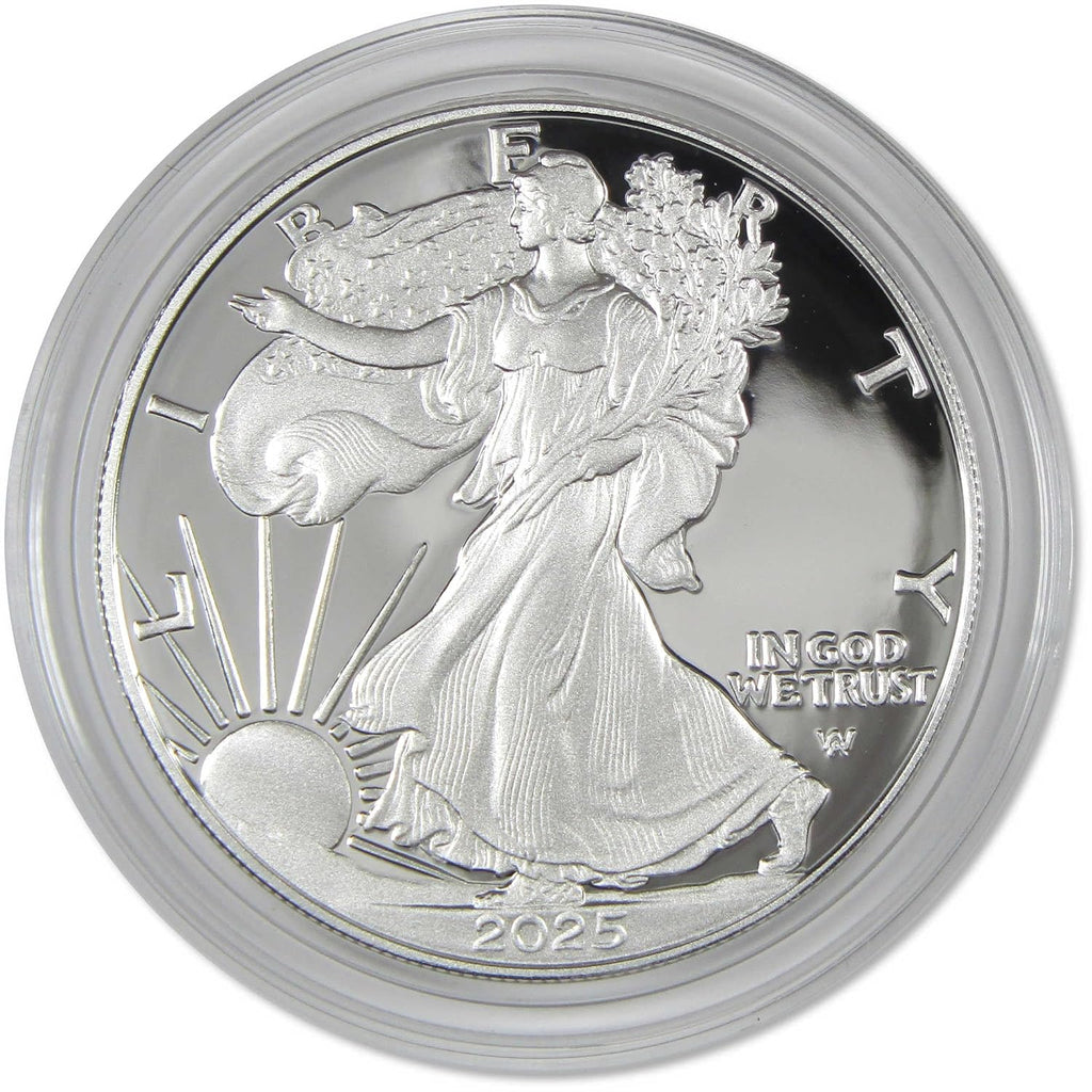 2025 W American Silver Eagle Choice Proof Bullion $1 Coin OGP COA