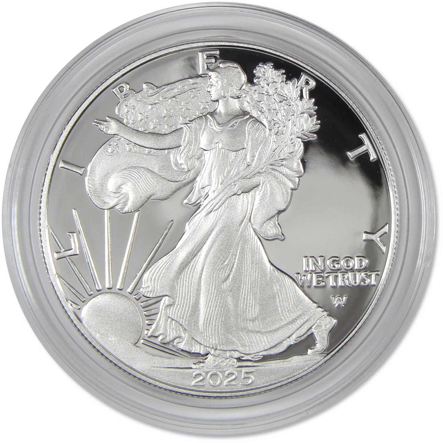 2025 W American Silver Eagle Choice Proof Bullion $1 Coin OGP COA