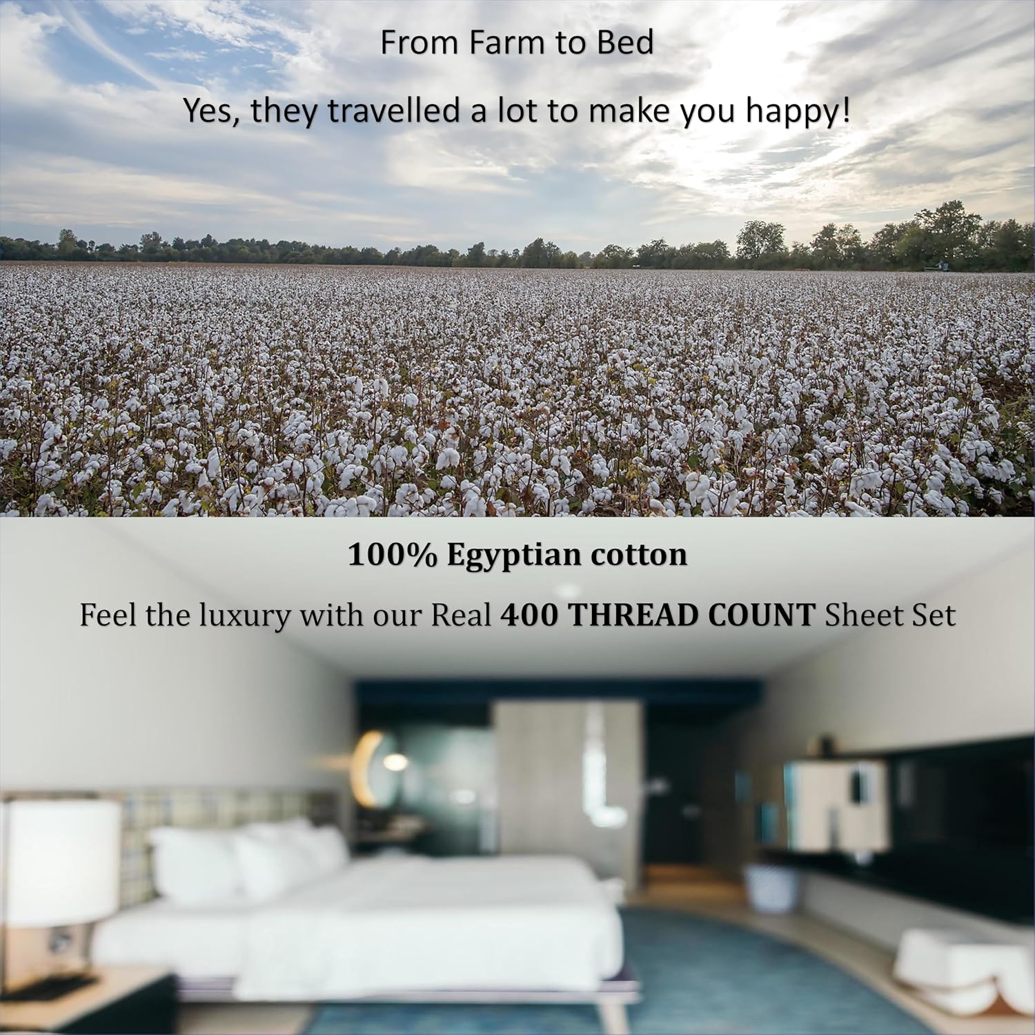 Texas King Size Luxury 400 Thread-Count Soft Crisp Percale Weave 100% Egyptian Long Staple Cotton Bed Sheets Sheet Set 18 Inch Deep-Pockets - Texas King, Percale White